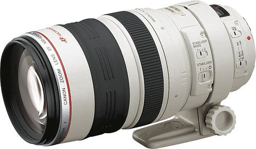 Canon EF 100-400mm f/4.5-5.6L IS USM Lens