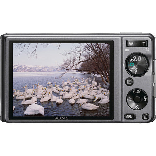 Sony Cyber-shot DSC-W370 Digital Camera (Silver)