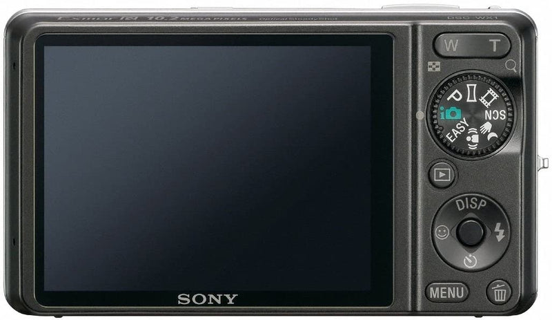 Sony DSC-WX1 Cybershot Digital Camera (Silver)